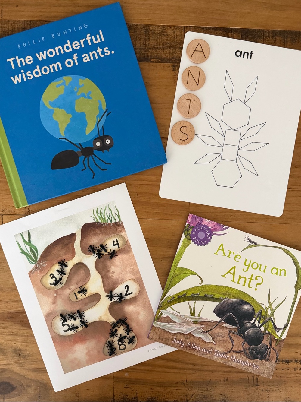 The Wonderful Wisdom of Ants – Blue Kids Learning Book Set